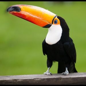 Meet your Posher, Luke